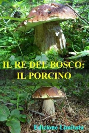 Il re del bosco: il porcino's poster