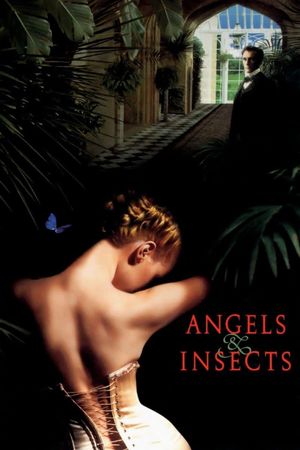 Angels and Insects's poster