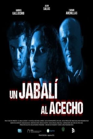 Un Jabalí al Acecho's poster