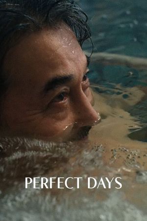 Perfect Days's poster