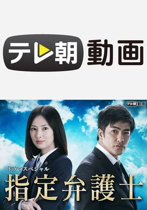 Designated Lawyer's poster