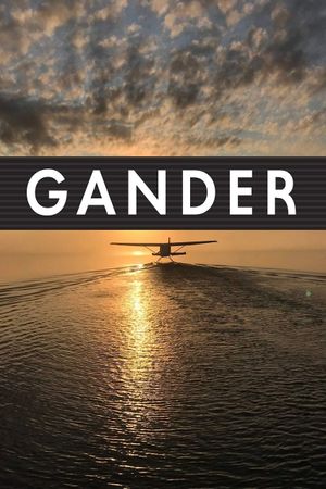 Gander International: The Airport in the Middle of Nowhere's poster