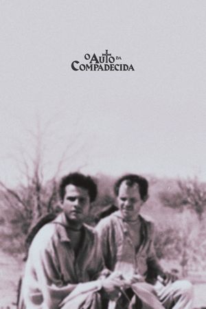 A Dog's Will's poster