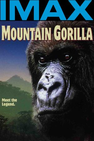 Mountain Gorilla's poster image