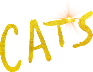 Cats's poster