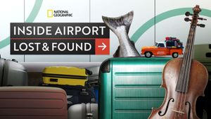 Inside Airport Lost & Found's poster