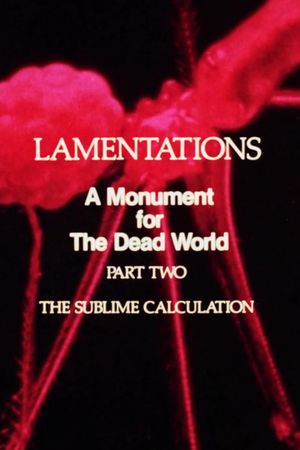 Lamentations: A Monument to the Dead World, Part 2: The Sublime Calculation's poster