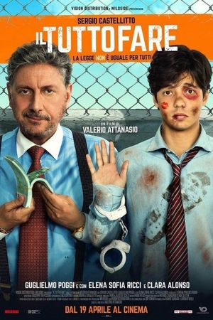 Il tuttofare's poster