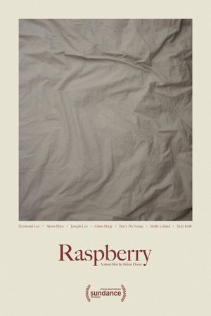 Raspberry's poster