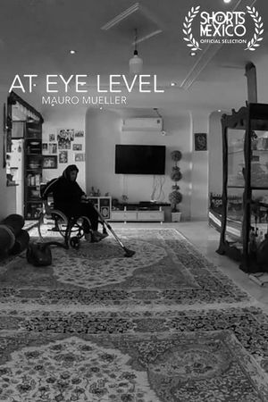 At Eye Level's poster