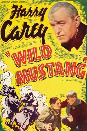 Wild Mustang's poster