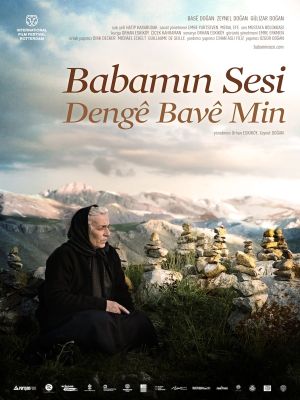 Babamin Sesi's poster