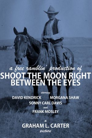 Shoot the Moon Right Between the Eyes's poster