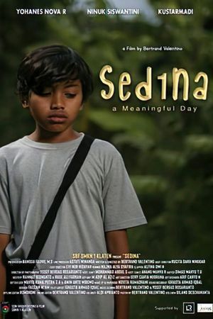 Sedina's poster