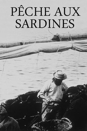 Sardine fishing's poster