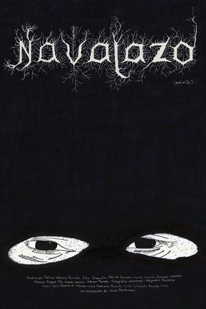 Navajazo's poster