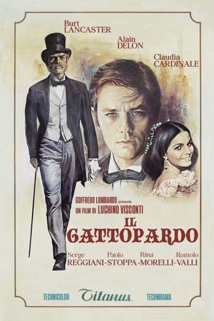 The Leopard's poster