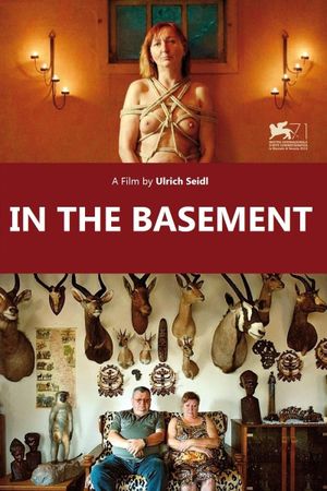 In the Basement's poster