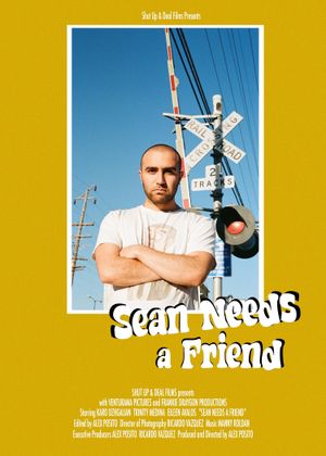 Sean Needs a Friend's poster