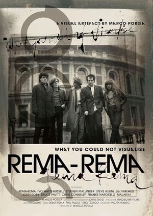 What You Could Not Visualise's poster