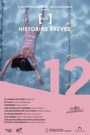 Historias breves 12's poster