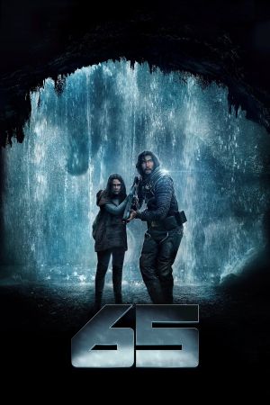 65's poster