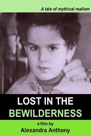 Lost in the Bewilderness's poster