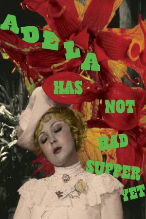 Adela Has Not Had Supper Yet's poster