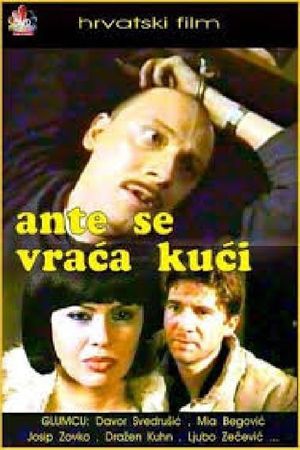 Ante Returns Home's poster