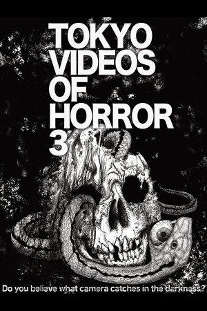 Tokyo Videos of Horror 3's poster