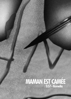 Maman est camée's poster