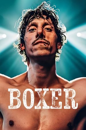 Boxer's poster