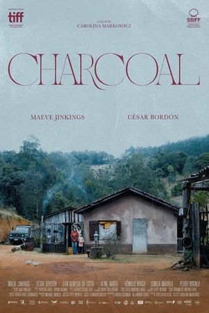 Charcoal's poster
