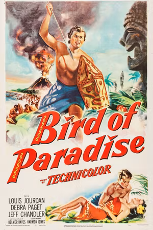 Bird of Paradise's poster