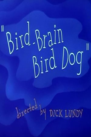 Bird-Brain Bird Dog's poster