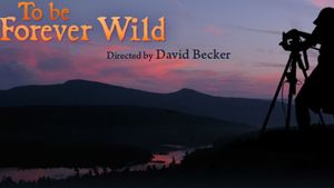 To Be Forever Wild's poster