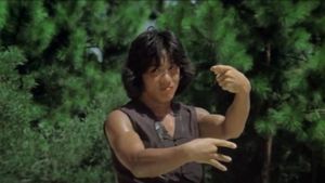 Drunken Master's poster