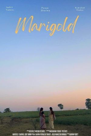 Marigold's poster