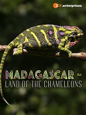 Madagascar: Land of the Chameleons's poster