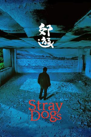 Stray Dogs's poster