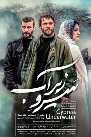 Cypress Under Water's poster