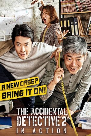 The Accidental Detective 2: In Action's poster