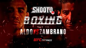 Shooto Brasil Boxing: José Aldo's poster