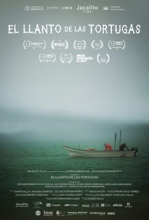 El llanto de las tortugas's poster