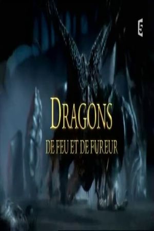 Dragons de feu et de fureur's poster