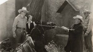 Ride Him, Cowboy's poster