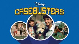 Casebusters's poster