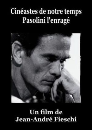 Pasolini l'Enragé's poster