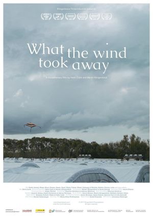 What the wind took away's poster
