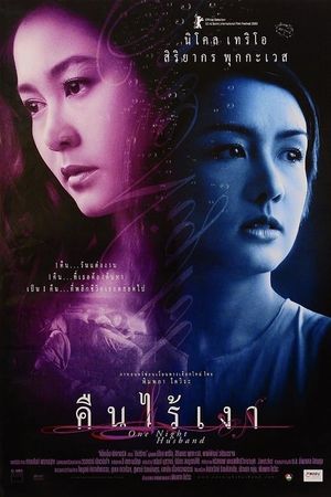 One Night Husband's poster
